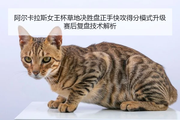 a-er-ka-la-si-nv-wang-bei-cao-di-jue-sheng-pan-zheng-shou-kuai-gong-de-fen-mo-shi-sheng-ji-sai-hou-fu-pan-ji-shu-jie-xi-2-300.jpg